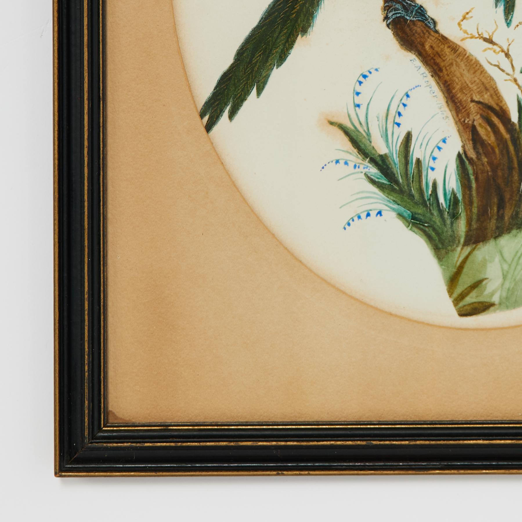 Group of Three Framed Antique Watercolors of Birds, Priced Individually For Sale 6