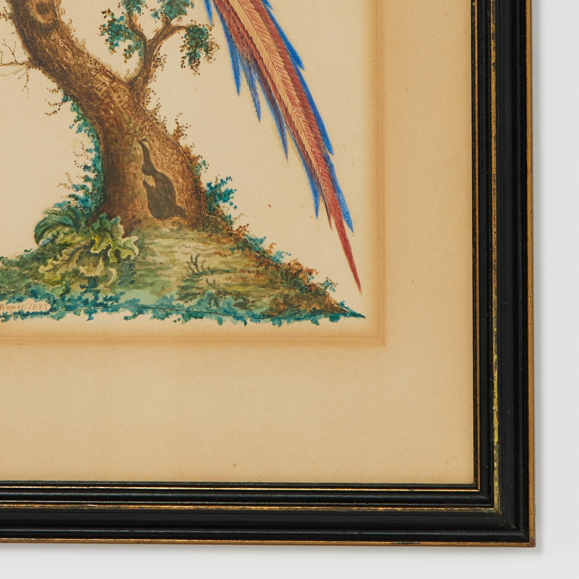 Group of Three Framed Antique Watercolors of Birds, Priced Individually For Sale 11