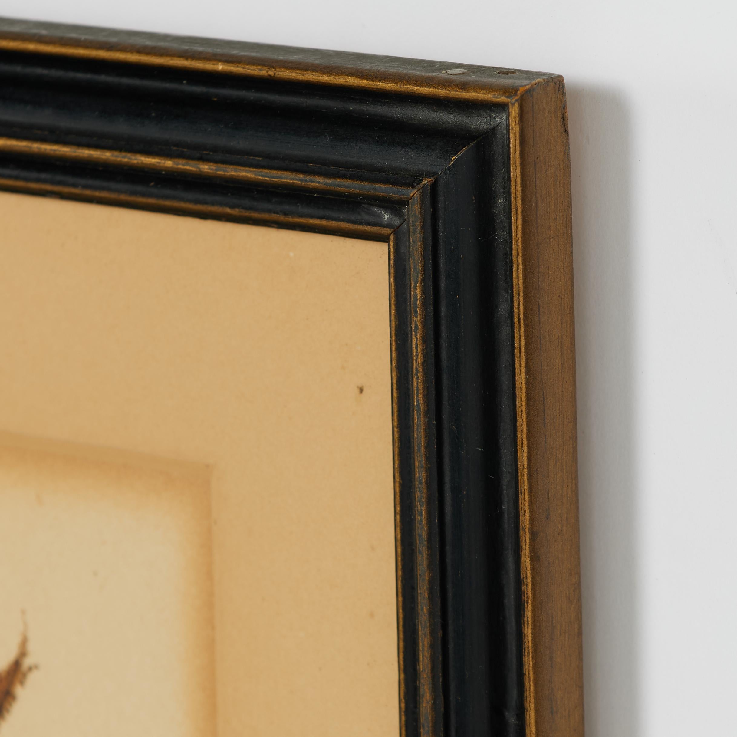 Group of Three Framed Antique Watercolors of Birds, Priced Individually For Sale 13