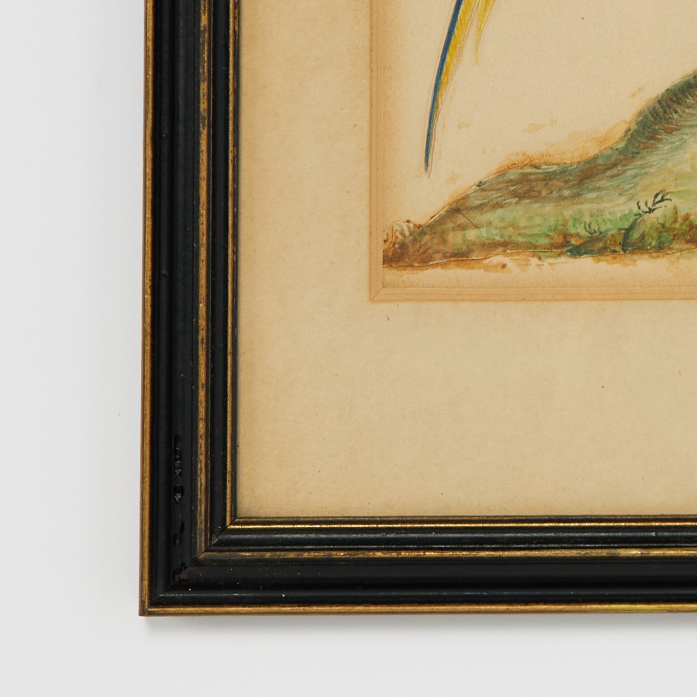 Paint Group of Three Framed Antique Watercolors of Birds, Priced Individually For Sale