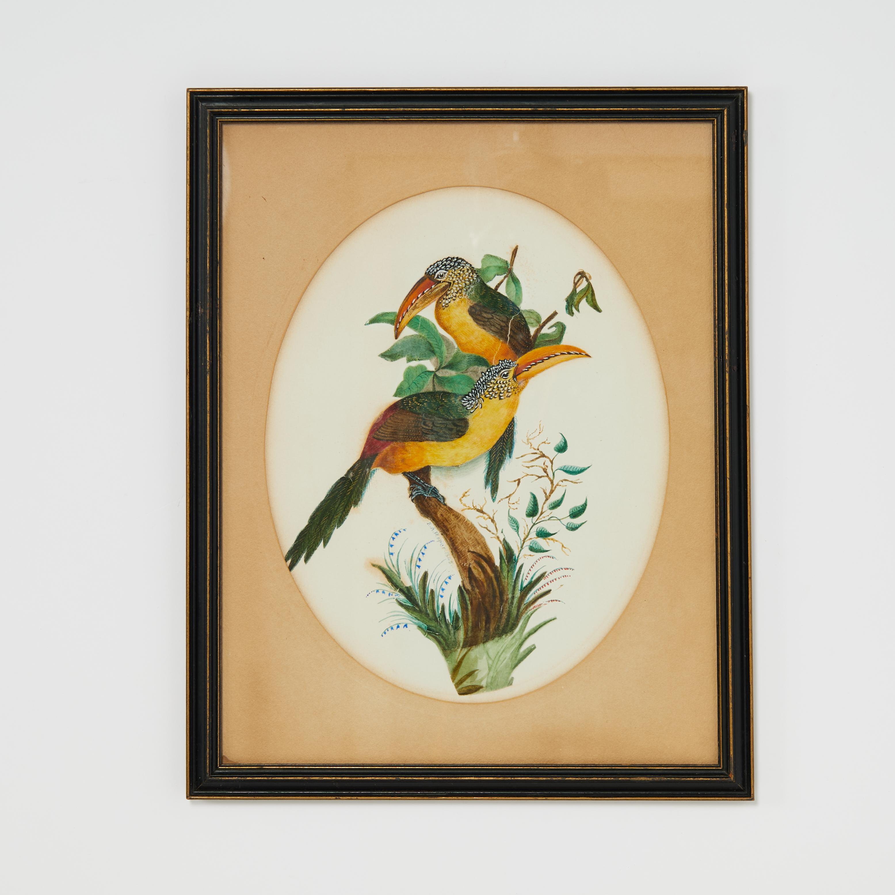 Group of Three Framed Antique Watercolors of Birds, Priced Individually For Sale 2