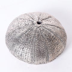 Two Silver Plated Seashells, Priced Individually