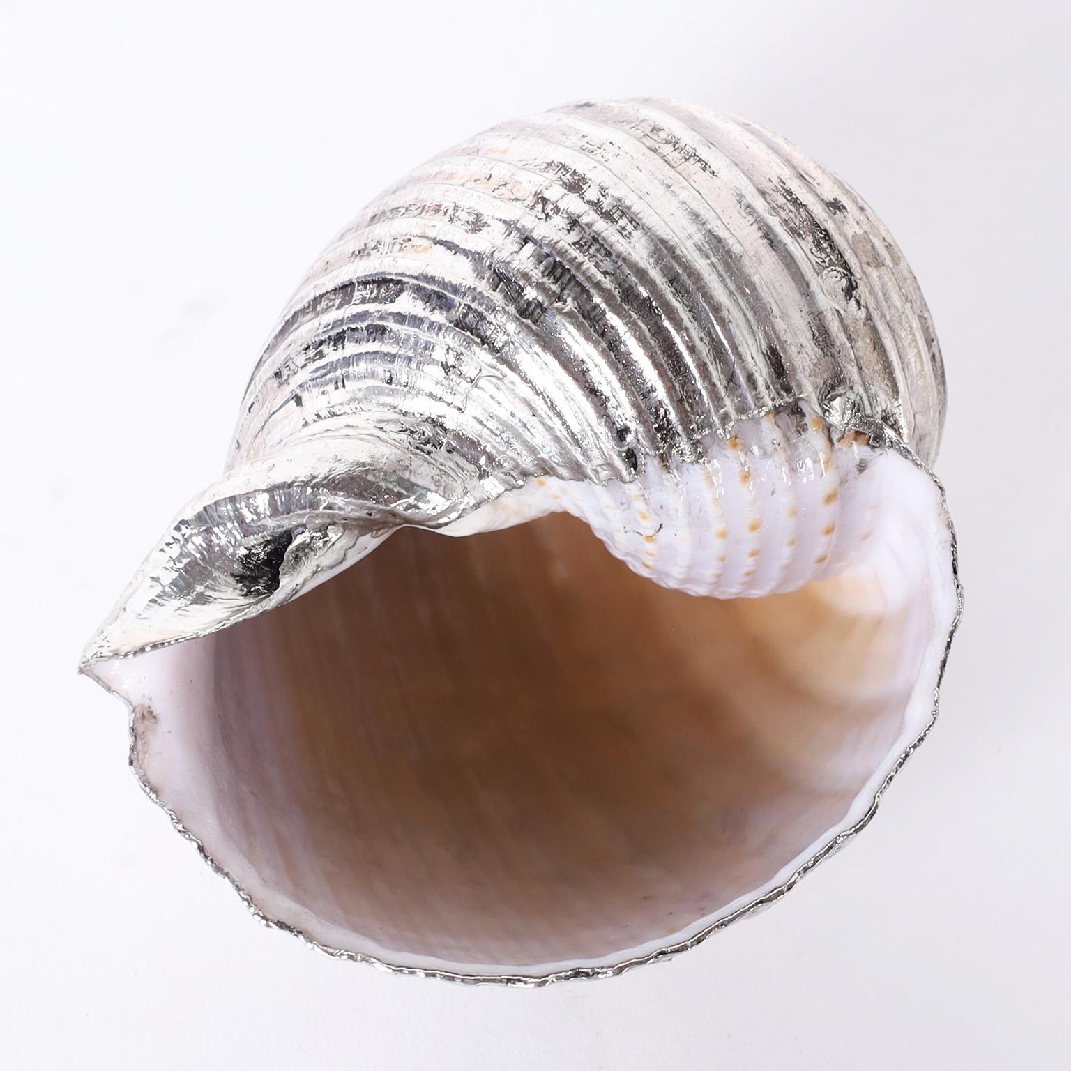 20th Century Two Silver Plated Seashells, Priced Individually