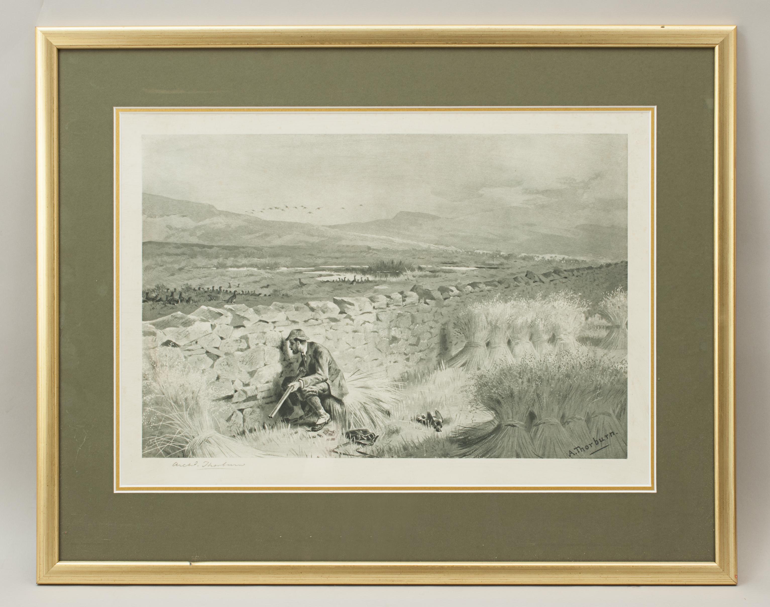 Archibald Thorburn grouse shooting photogravure, patience.
A framed original Archibald Thorburn photogravure depicting a grouse shooting scene. The black and white shooting picture is signed in pencil by the artist, Archibald Thorburn, and shows a