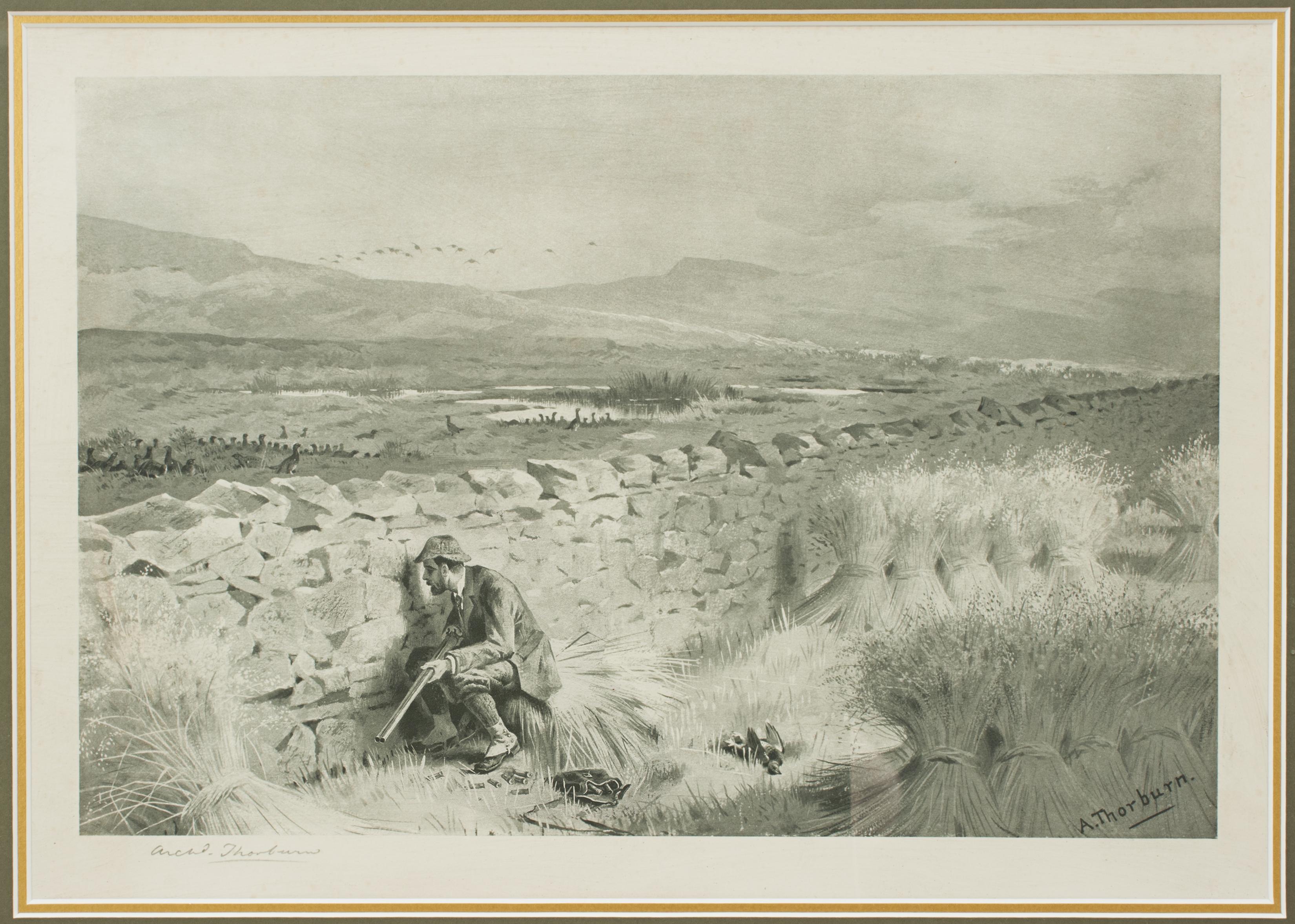 Sporting Art Grouse Shooting Print by Archibald Thorburn, Patience