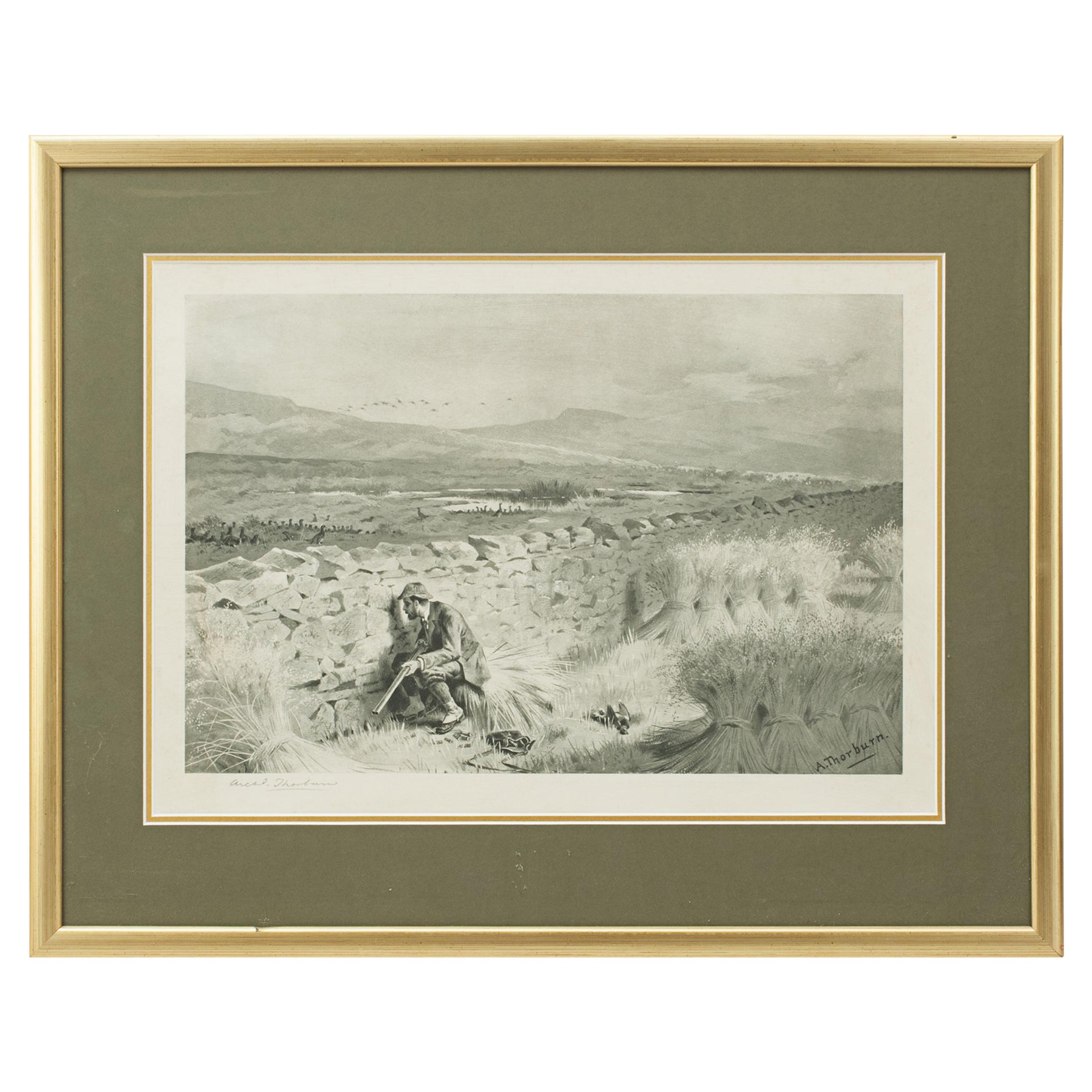 Grouse Shooting Print by Archibald Thorburn, Patience