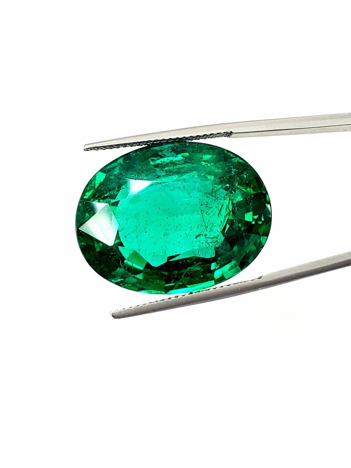 Oval Cut Takat 34.71 Cts GRS Certified Vivd Green Oval Shape Zambian Emerald 