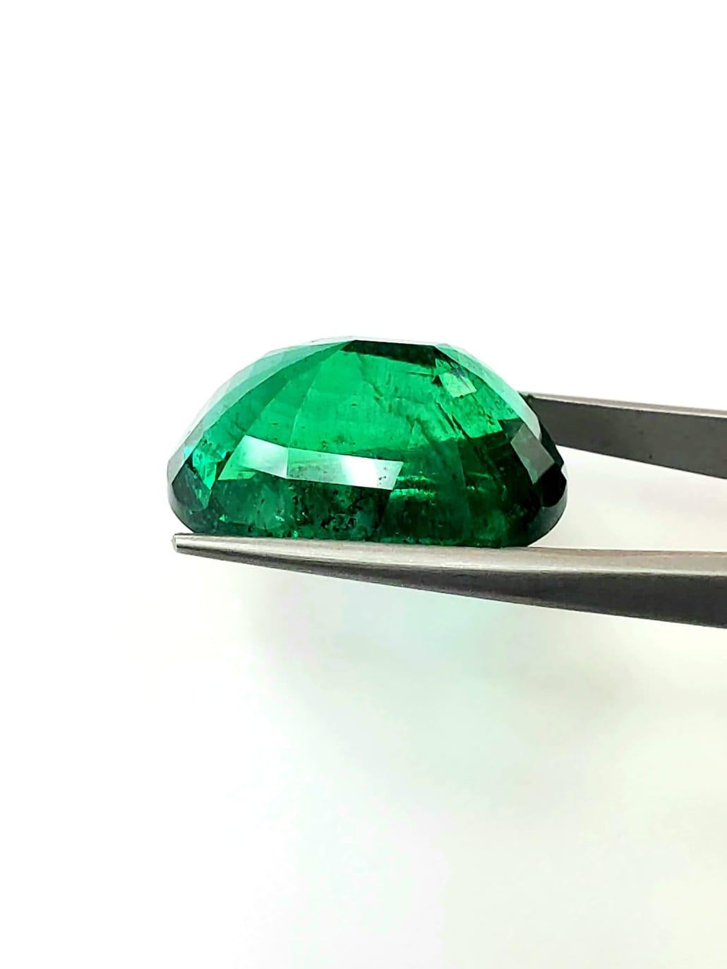 Takat 34.71 Cts GRS Certified Vivd Green Oval Shape Zambian Emerald  In New Condition In new york, NY
