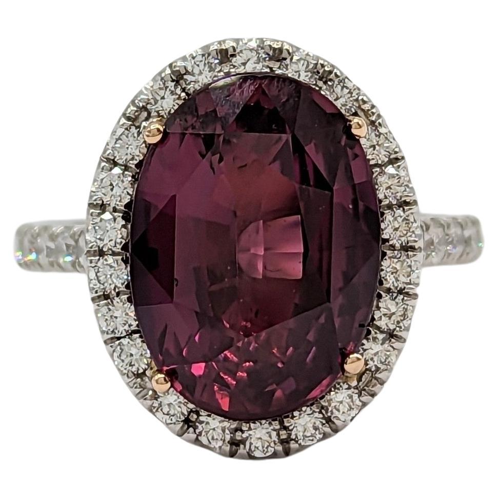 GRS Madagascar Purplish Red Ruby and Diamond Cocktail Ring in Platinum and 18k For Sale