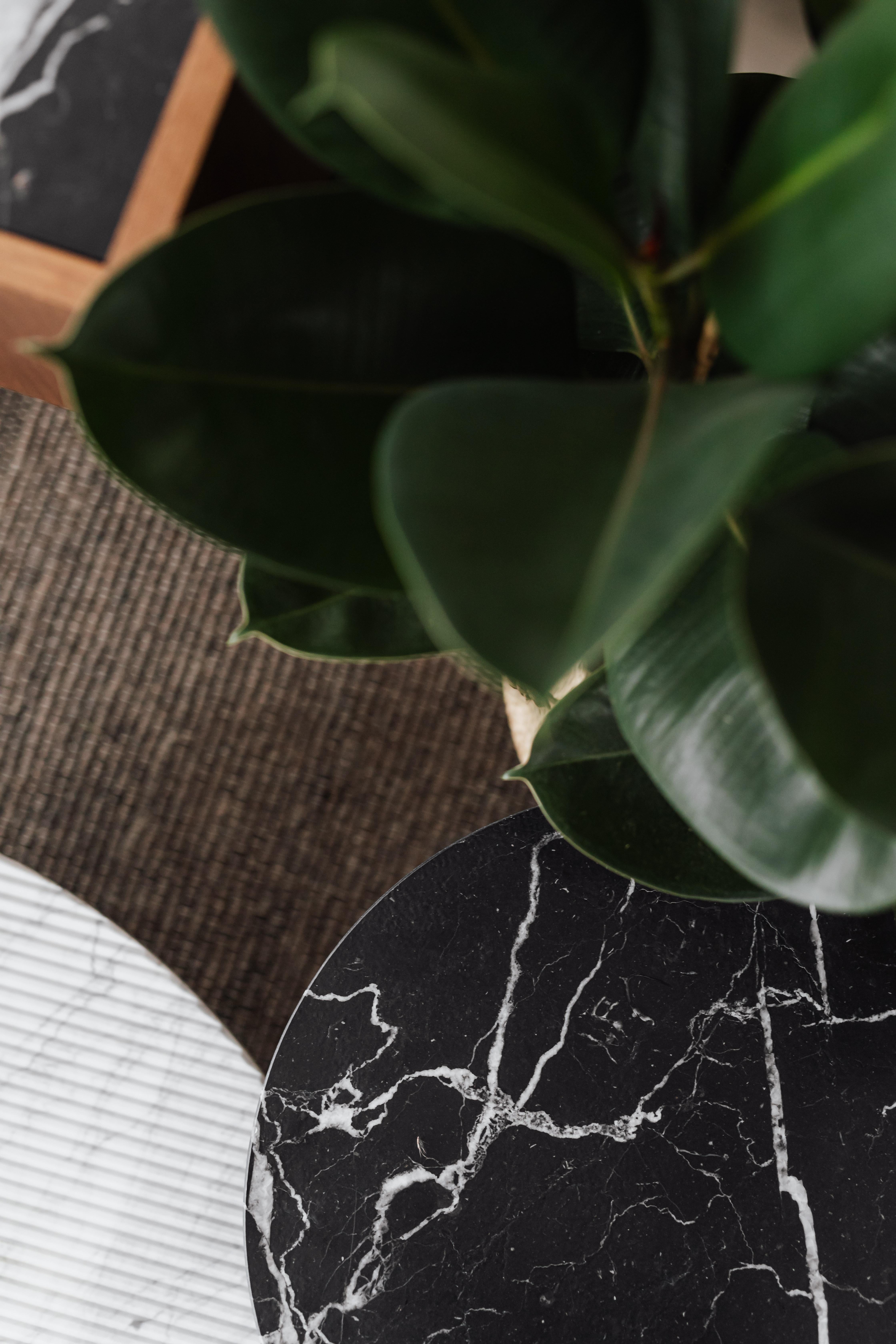 Polonais Table basse en carrare Gruff S par Un'common en vente