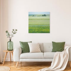 Champs - Paysage atmosphérique moderne et contemporain