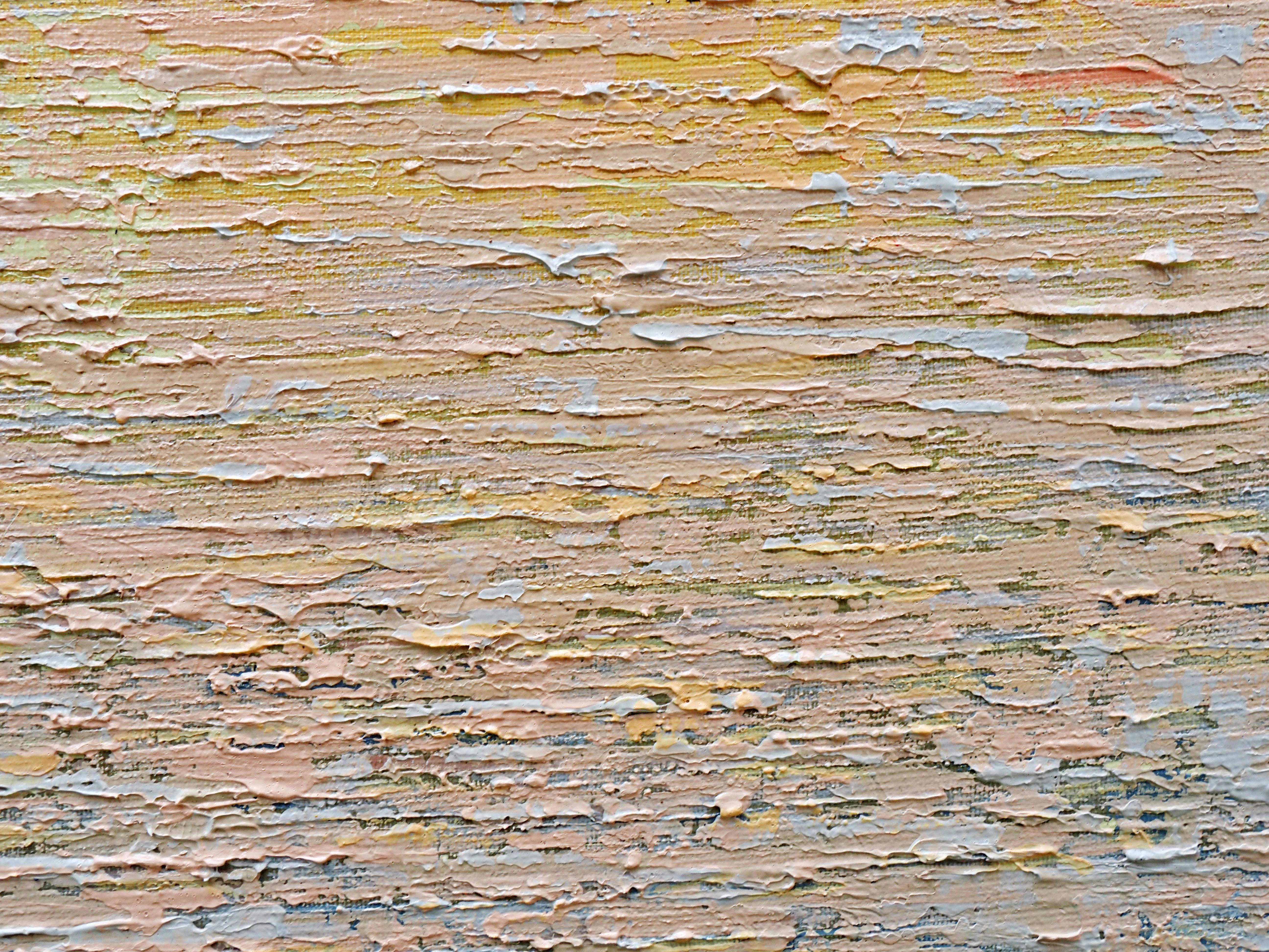 Quelques mots de l'artiste sur son art :

Lorsque je peins des paysages, j'opte généralement pour des arrangements géométriques simples, des contrastes de verticales et de niveaux. Je juxtapose la surface lisse du ciel à la texture rugueuse de la