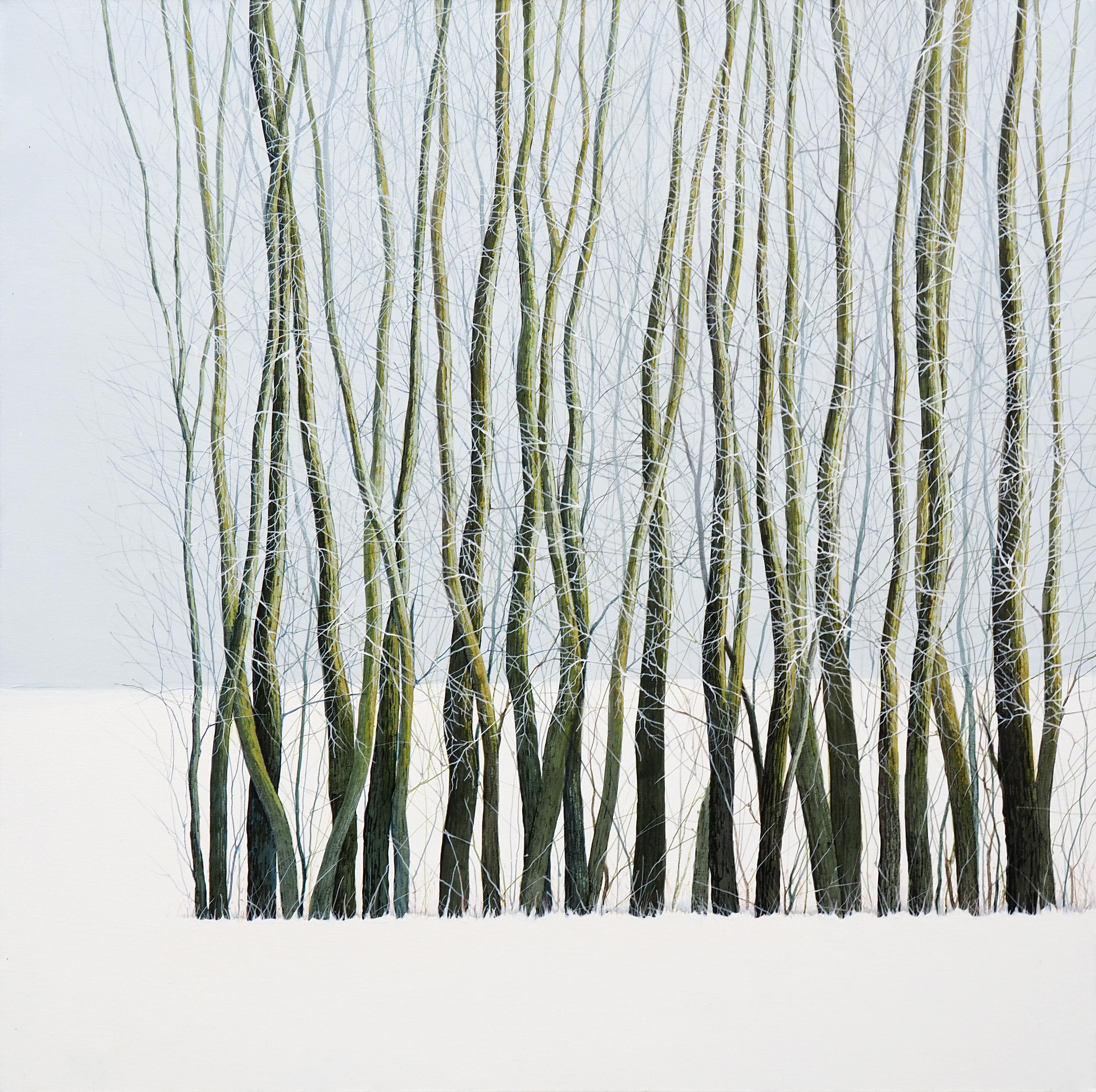 Grzegorz Wójcik Figurative Painting - TREES - Contemporary Atmospheric and Modern Nature Painting