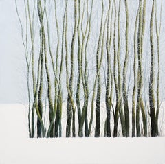 TREES - Contemporary Atmospheric and Modern Nature Painting