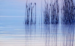 Water Reflection I,  Reeds in Water - Contemporary Atmospheric Modern Landscape