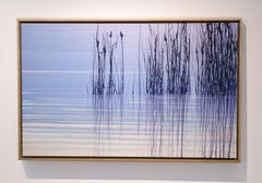 Water Reflection I,  Reeds in Water - Contemporary Atmospheric Modern Landscape