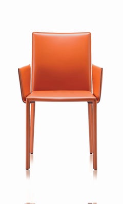 Gebrüder Thonet Vienna GmbH Twiggy Armchair in Steel with Orange & Backrest