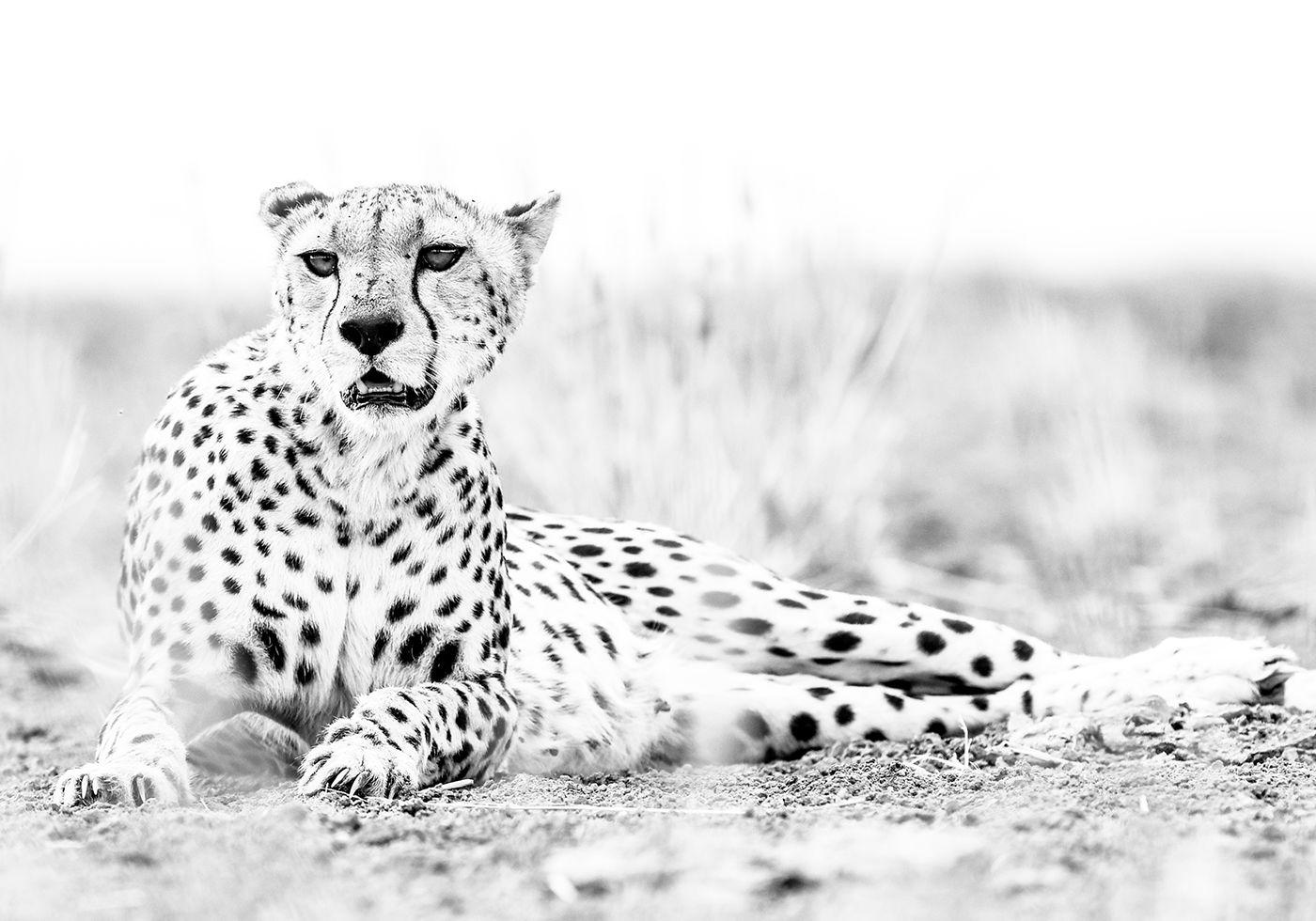 Black and White Photograph Guadalupe Laiz - Pour les Chitas