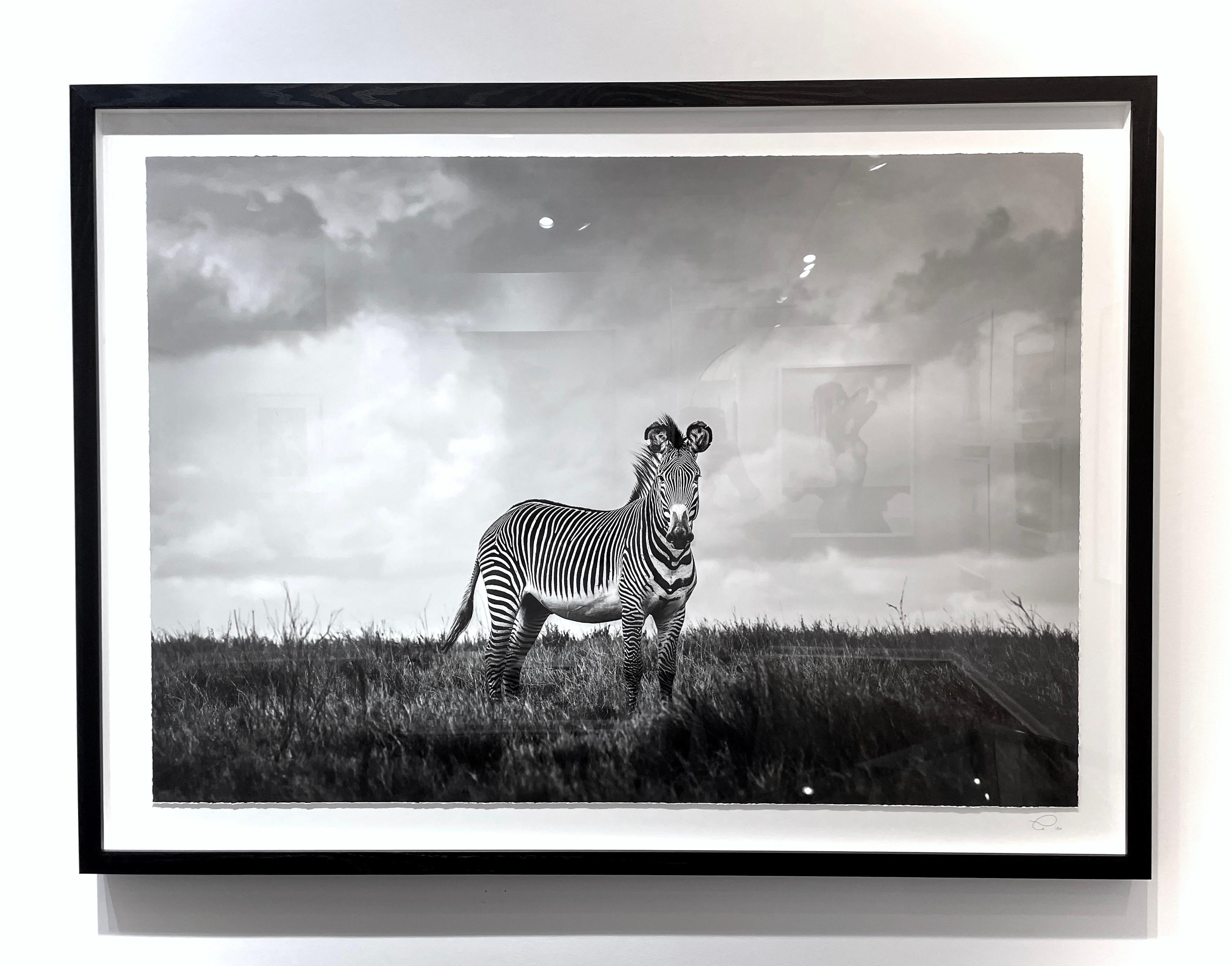 Groovy – Photograph von Guadalupe Laiz