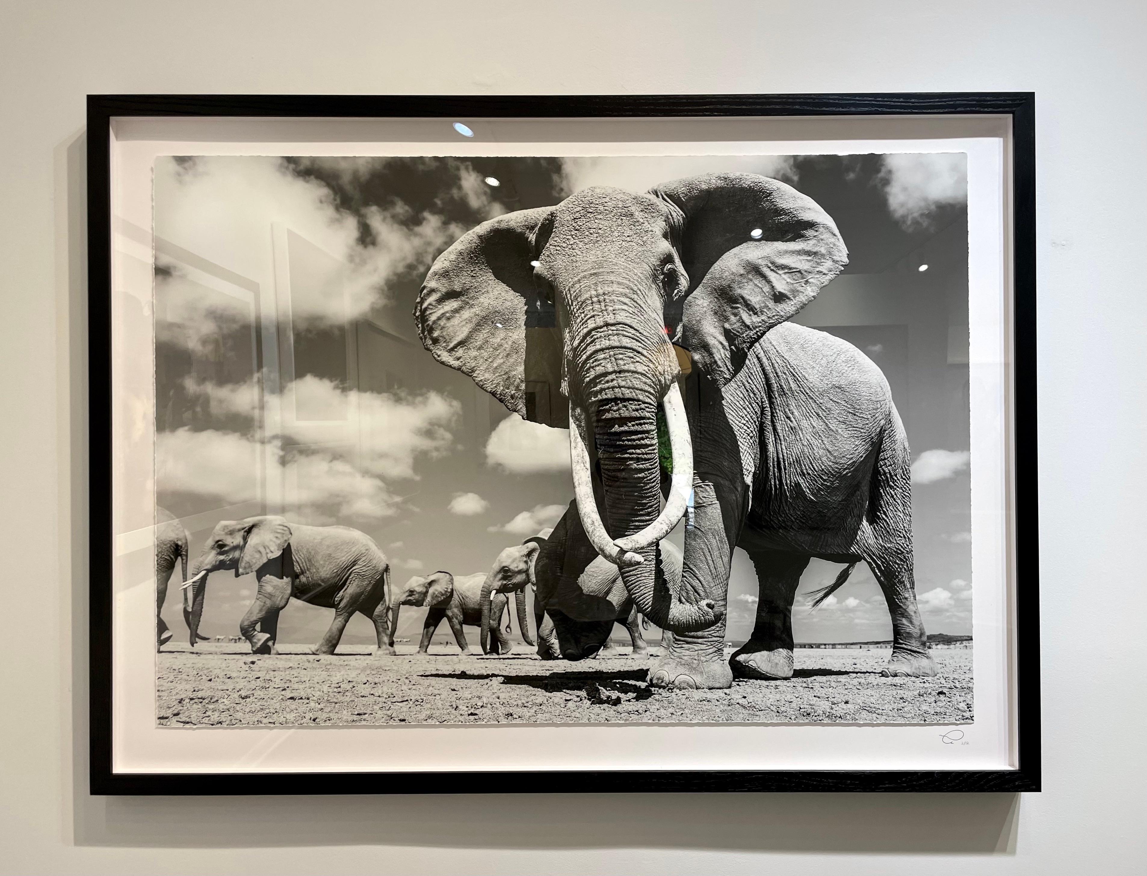Muss etwas gewesen sein – Photograph von Guadalupe Laiz