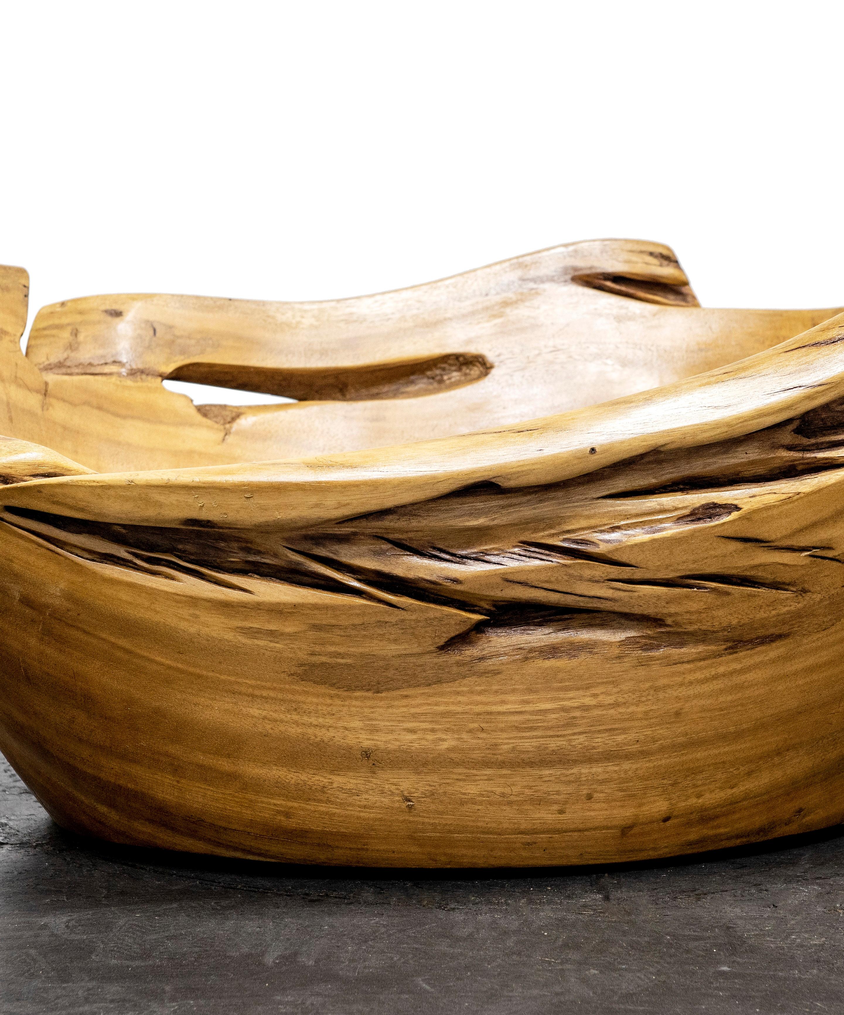 Brasiliano Vaso per piante Guaju in Wood di Hugo França in vendita