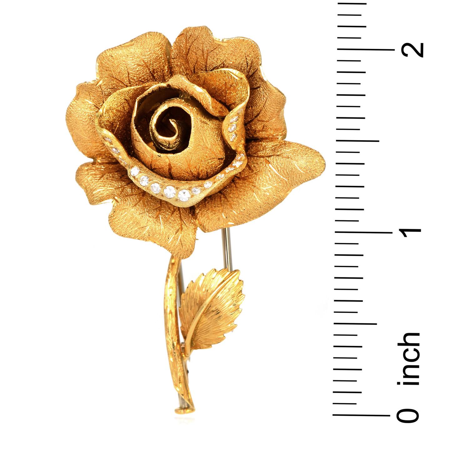 old gold rose