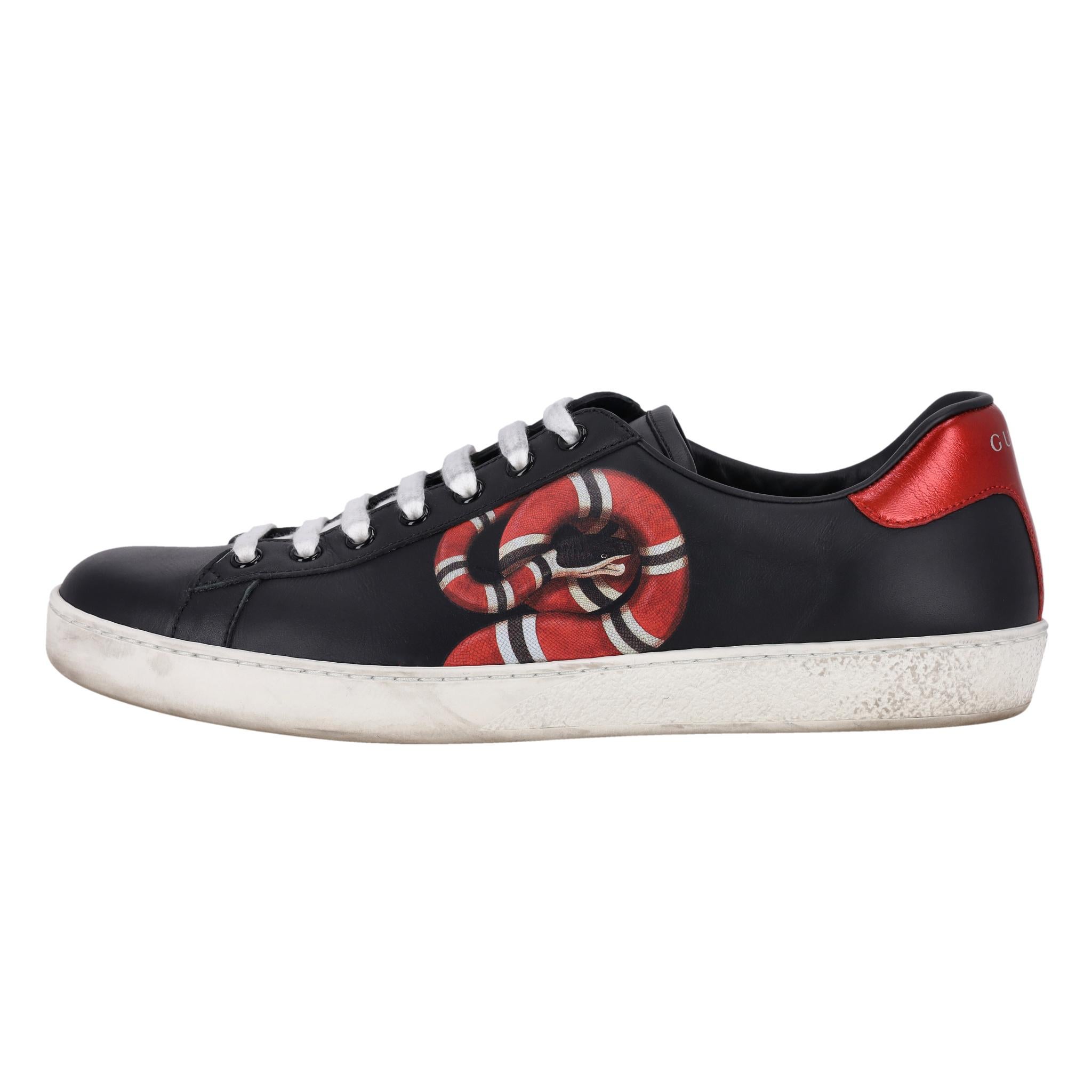 Gucci Ace Kingsnake Leder Turnschuhe (Schwarz) im Angebot