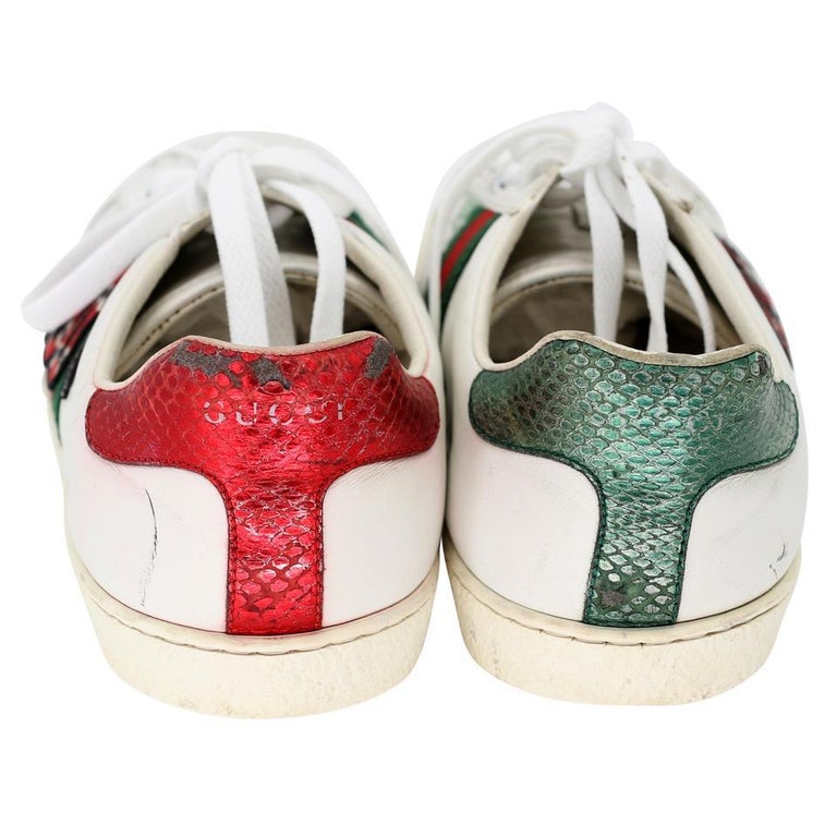 Ace Embroidered Zapatos Gucci Hombre Serpiente N372O Gucci Snake
