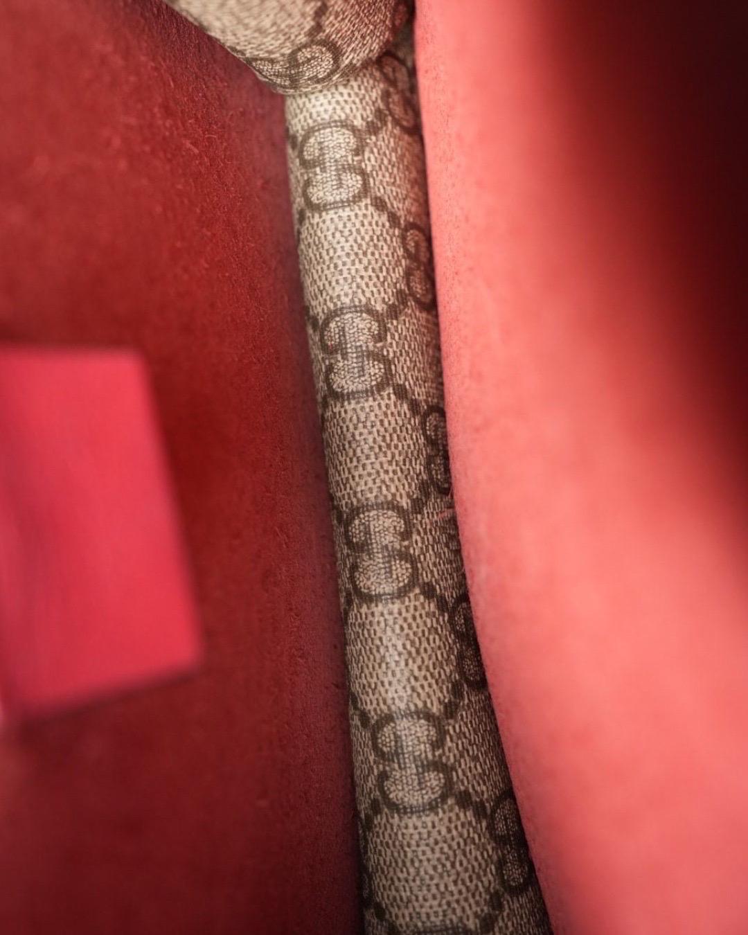 Gucci Dionysus Mini GG Supreme Rossa en vente 9