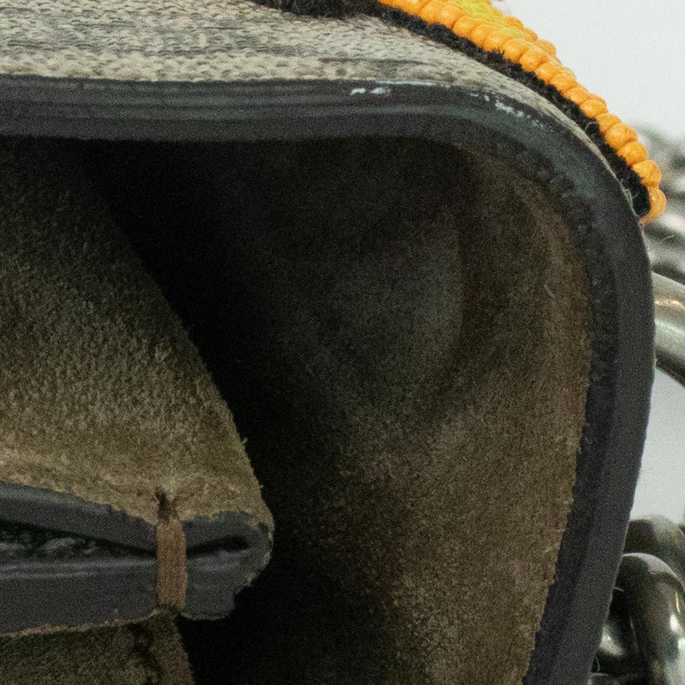 GUCCI Dionysus Shoulder bag in Brown Canvas 11
