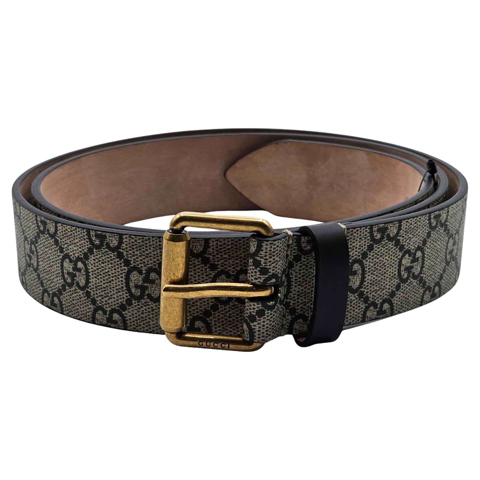 Gucci GG Supreme Kingsnake Brown Belt For Sale