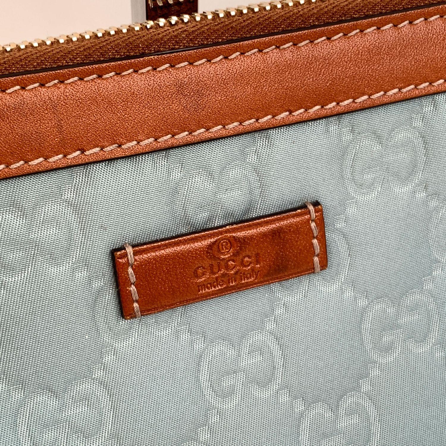 baby blue clutch purse