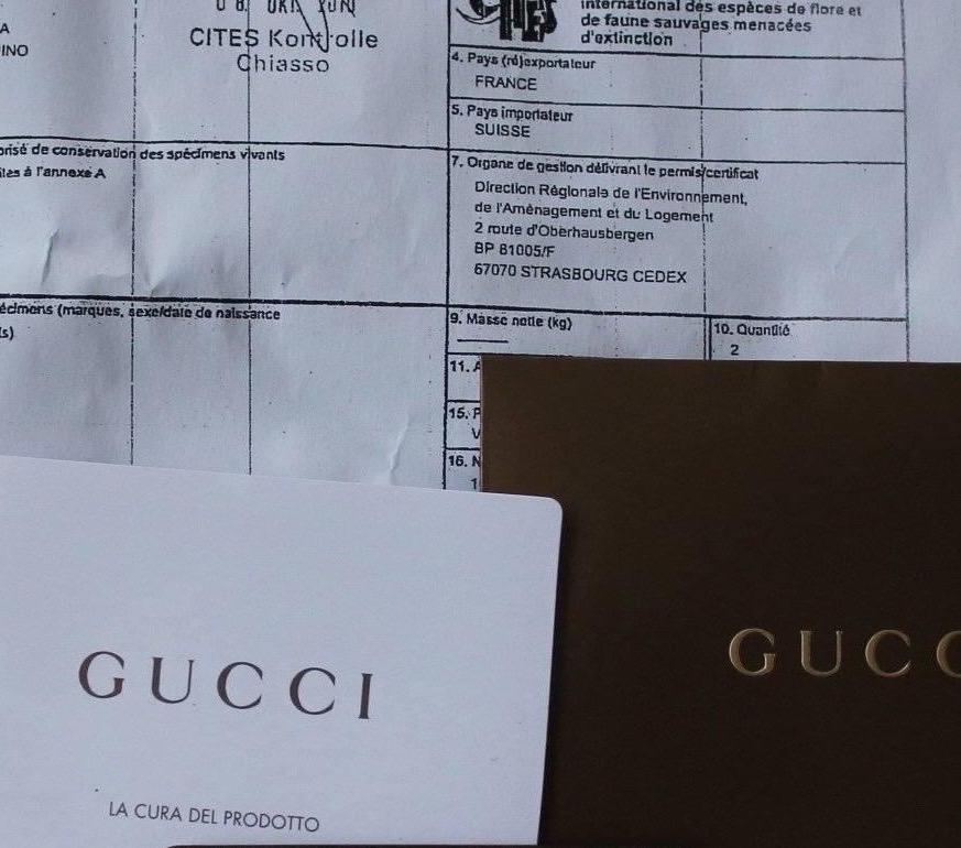GUCCI Limited Edition Exotic Python Skin Embroidered Cream Hand Bag with Crest For Sale 8