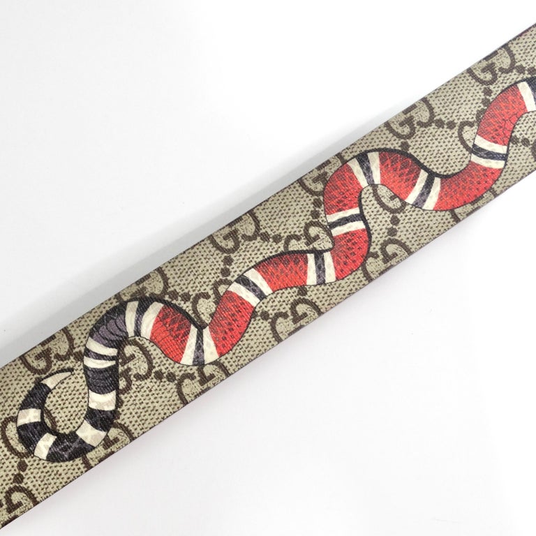 GUCCI GG Marmont Snake Gold Buckle Belt Gold/Brass With