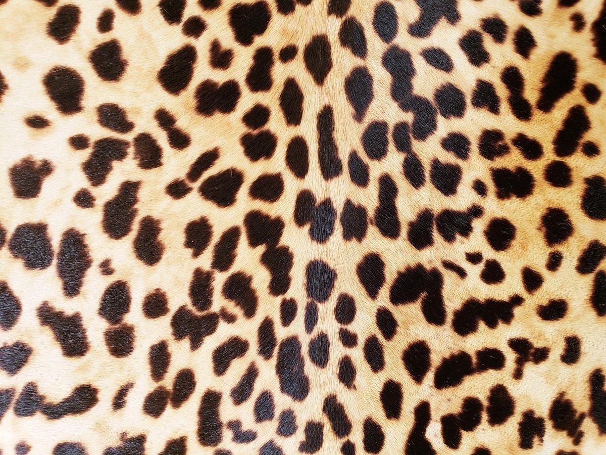 Women's GUCCI Nymphaea Leopard Print Large Leather Bag For Sale