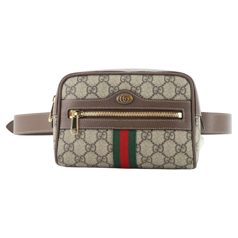 Ophidia GG Mini Belt Bag in Grey - Gucci