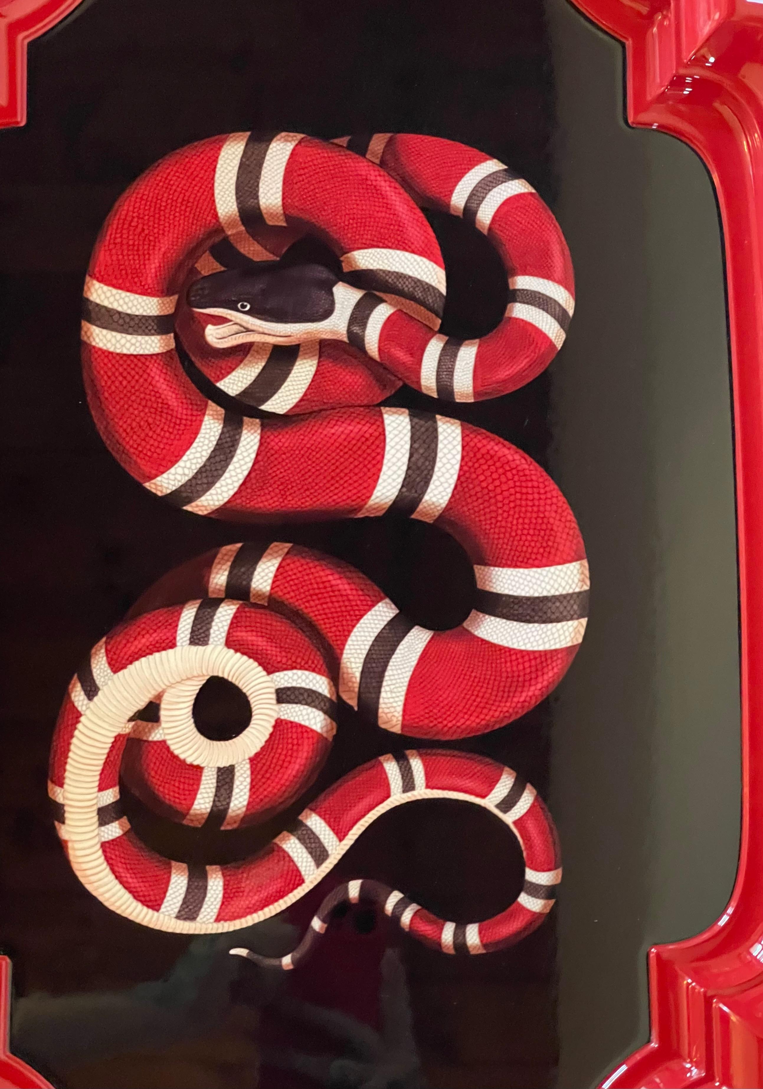 Gucci Red and Black Snake Tray 2
