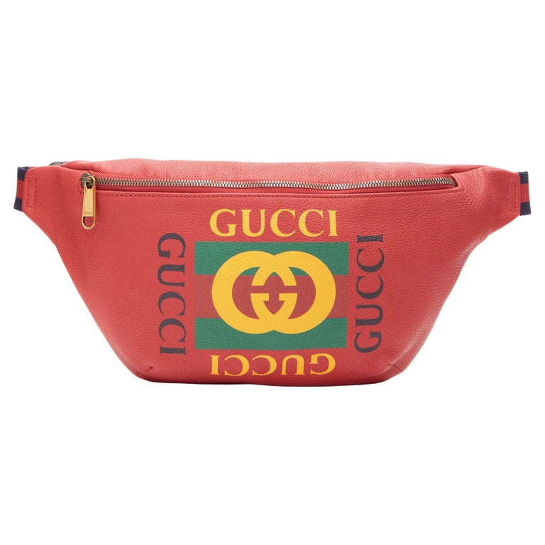 New Classical Designer Canvas Coated Unisex Waist Bag - China Waist Belt Bag  and Bumbag price