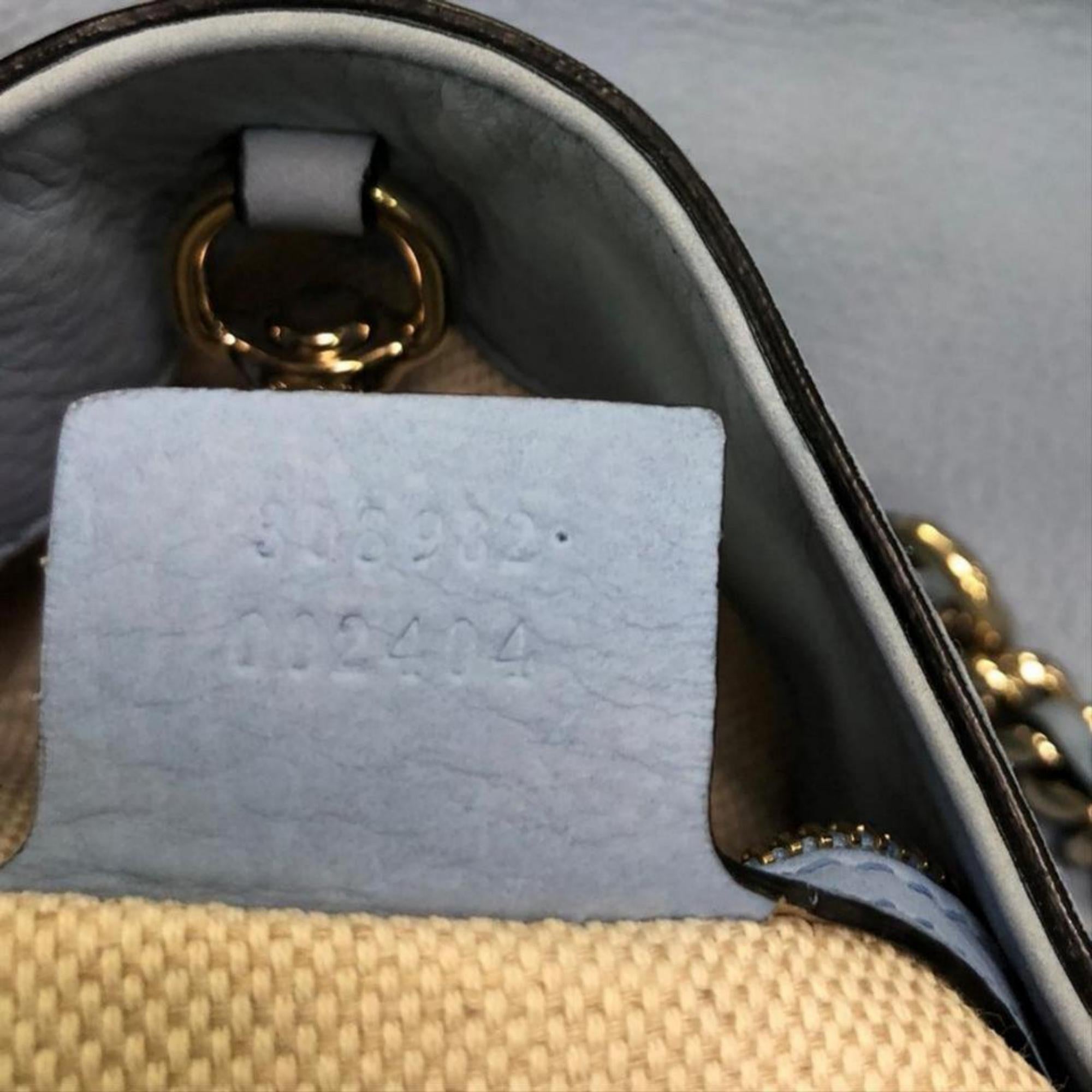 baby blue gucci bag