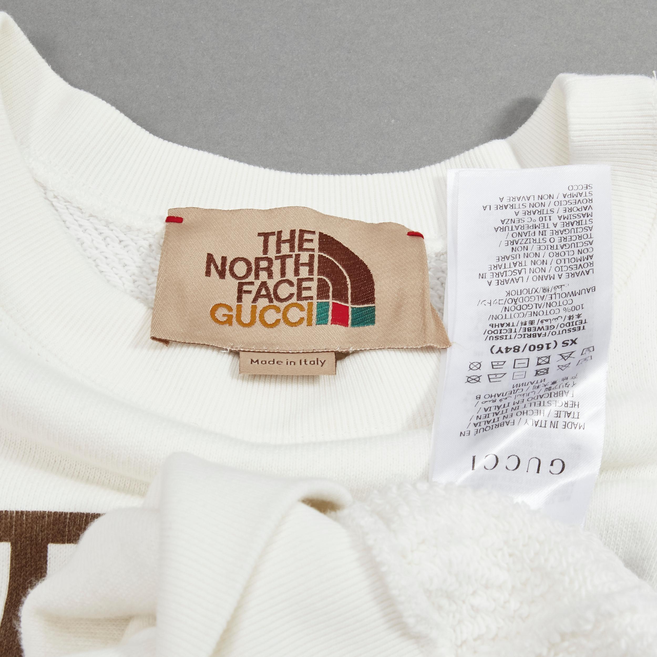 GUCCI THE NORTH FACE logo print white cotton oversized sweatshirt pullover XS For Sale 4