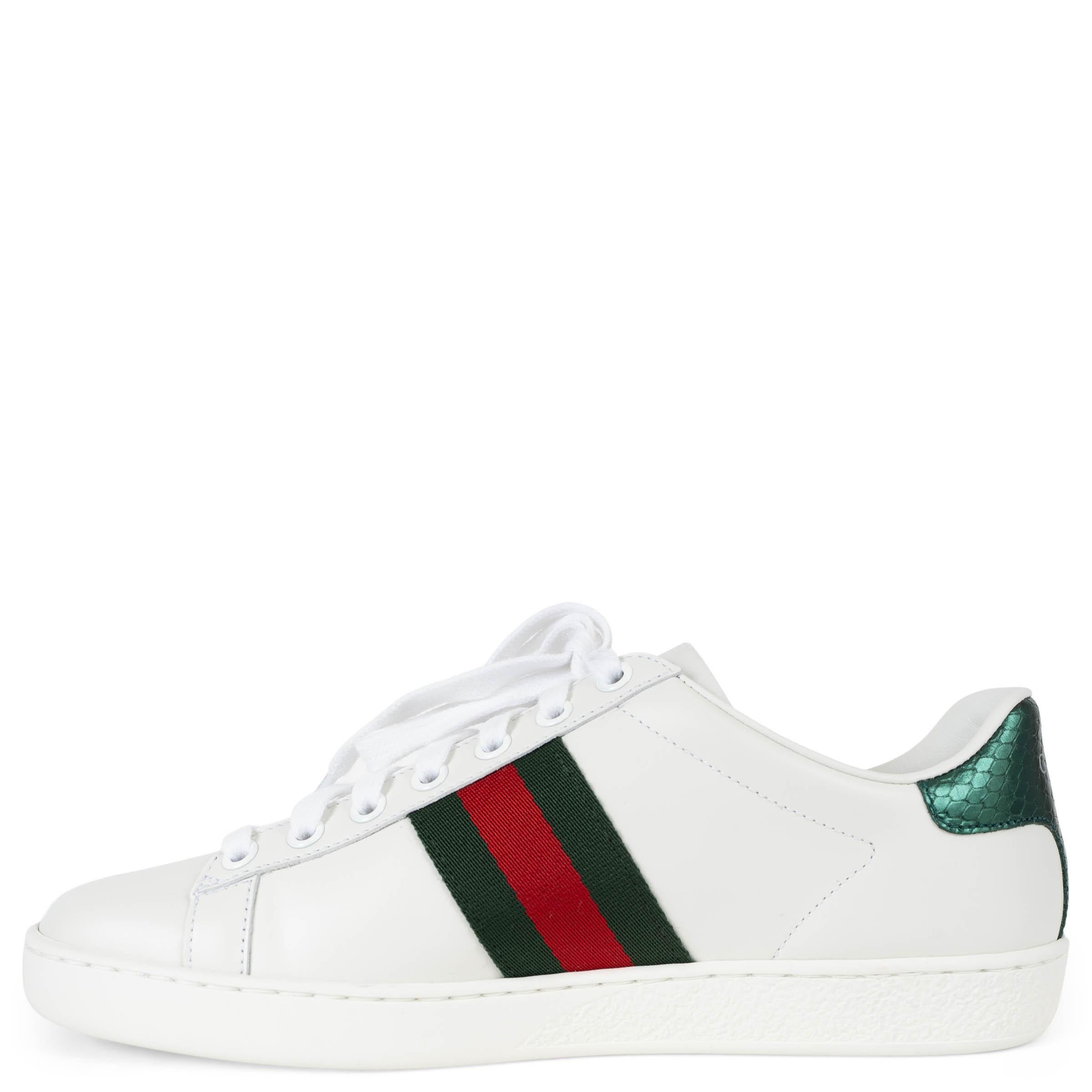 GUCCI Weiße ACE WEB Turnschuhe aus Leder ACE WEB Schuhe 37 (Grau) im Angebot