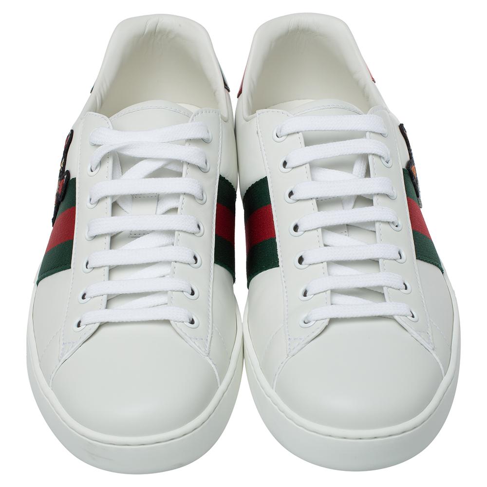 gucci dog sneakers