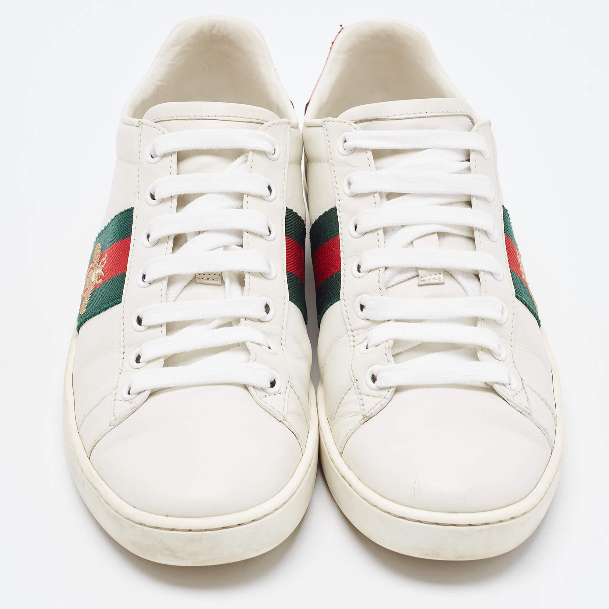 Women's Gucci White Leather Web Ace Low Top Sneakers Size 38