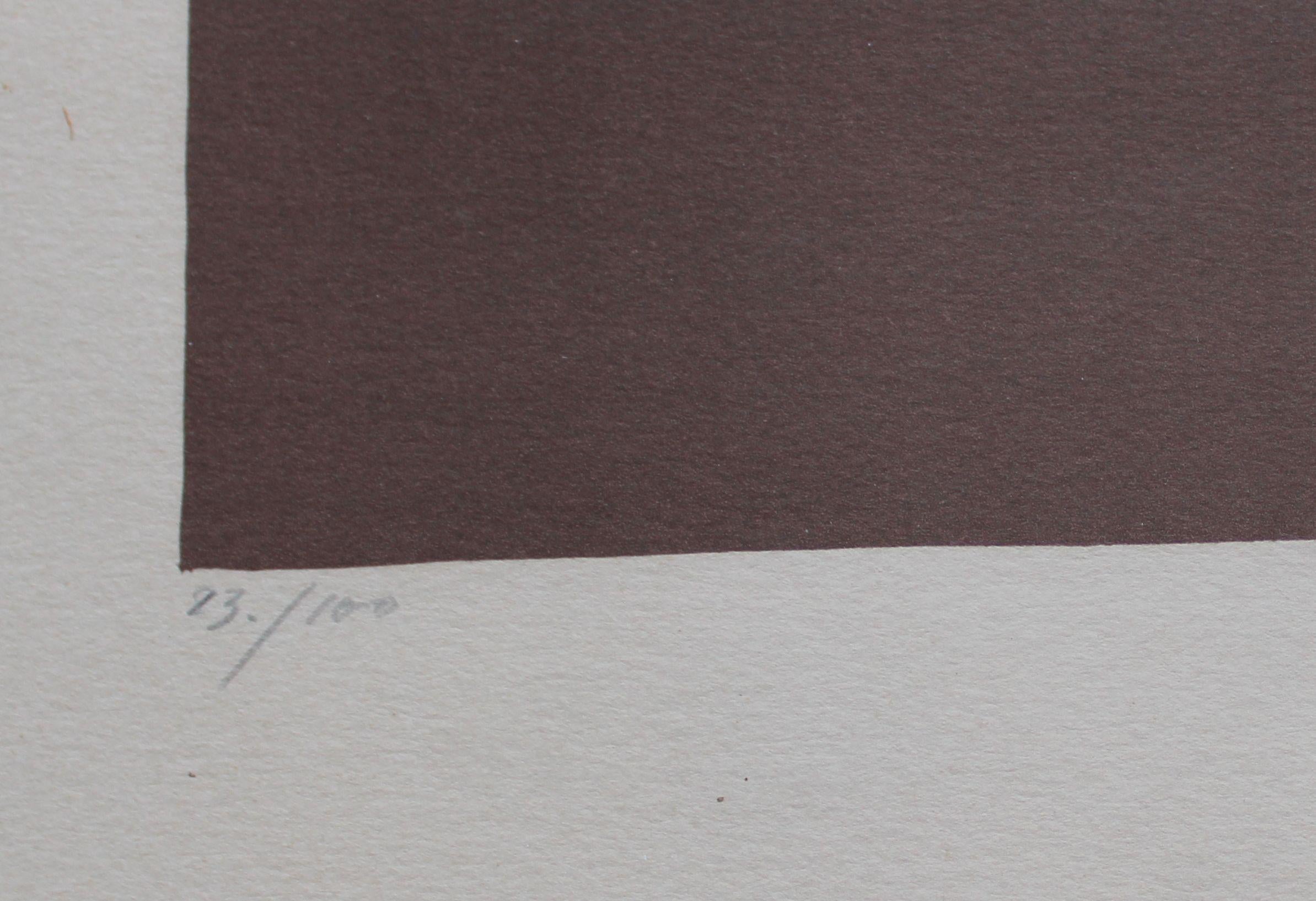23/100, 1974. Carta, litografia, 43x65 cm - Abstract Print Grigio di Gudmund Olsen