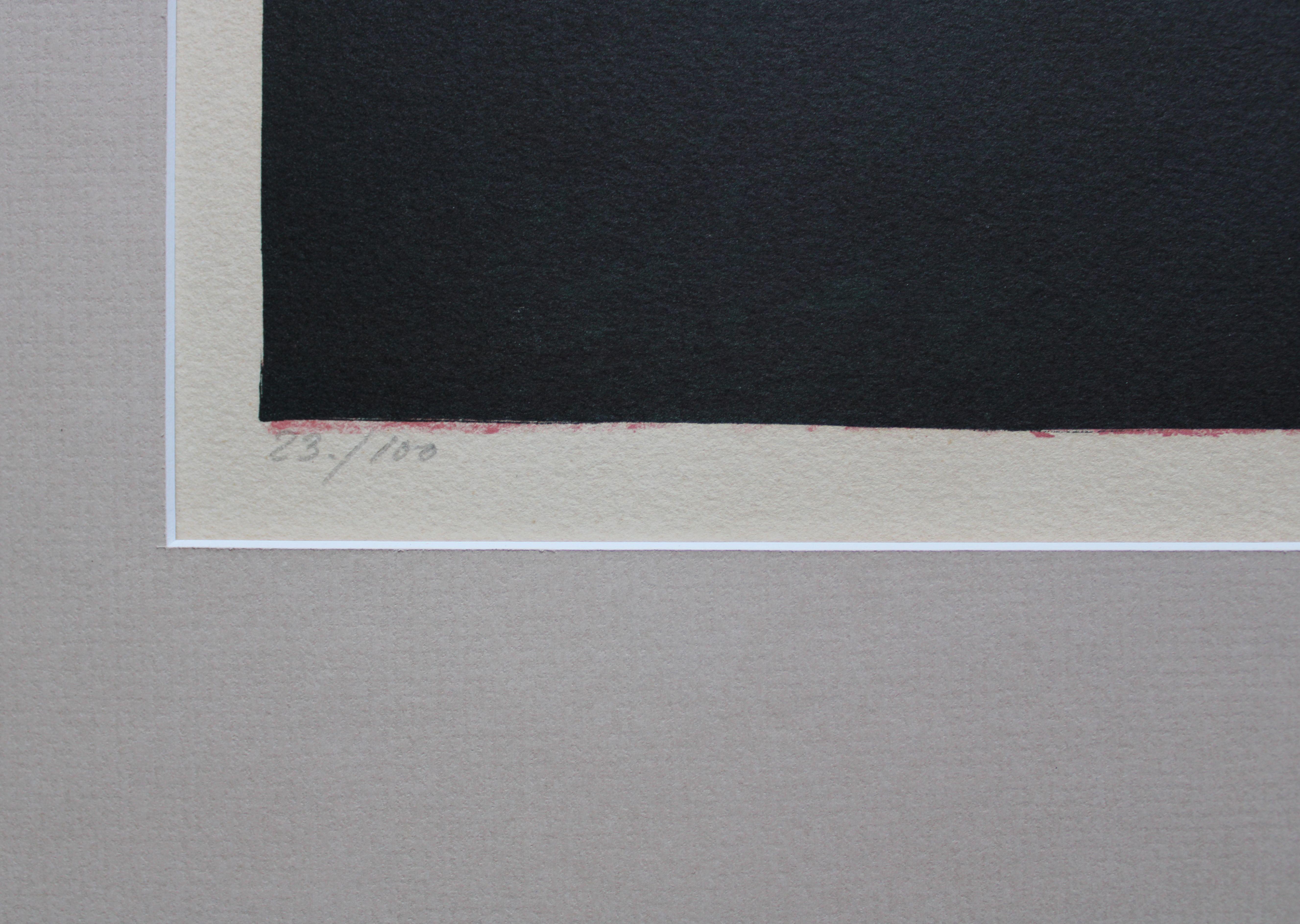 23/100, 1974. Papier, Lithographie, 43x65 cm, Papier im Angebot 1