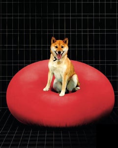 Gufram Detecma Sculptural Lounge Chair by Tullio Regge, 1967 Red