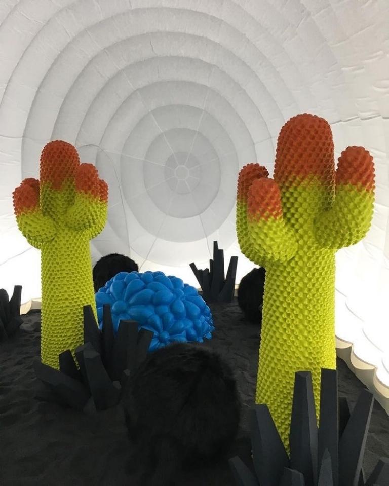 Born in 1972, the cactus coat rack has questioned the static and rigid world of interior design since its inception, revolutionizing the traditional furniture landscape. Designed by Guido Drocco and Franco Mello, Cactus Coat Rack is supposed to be a