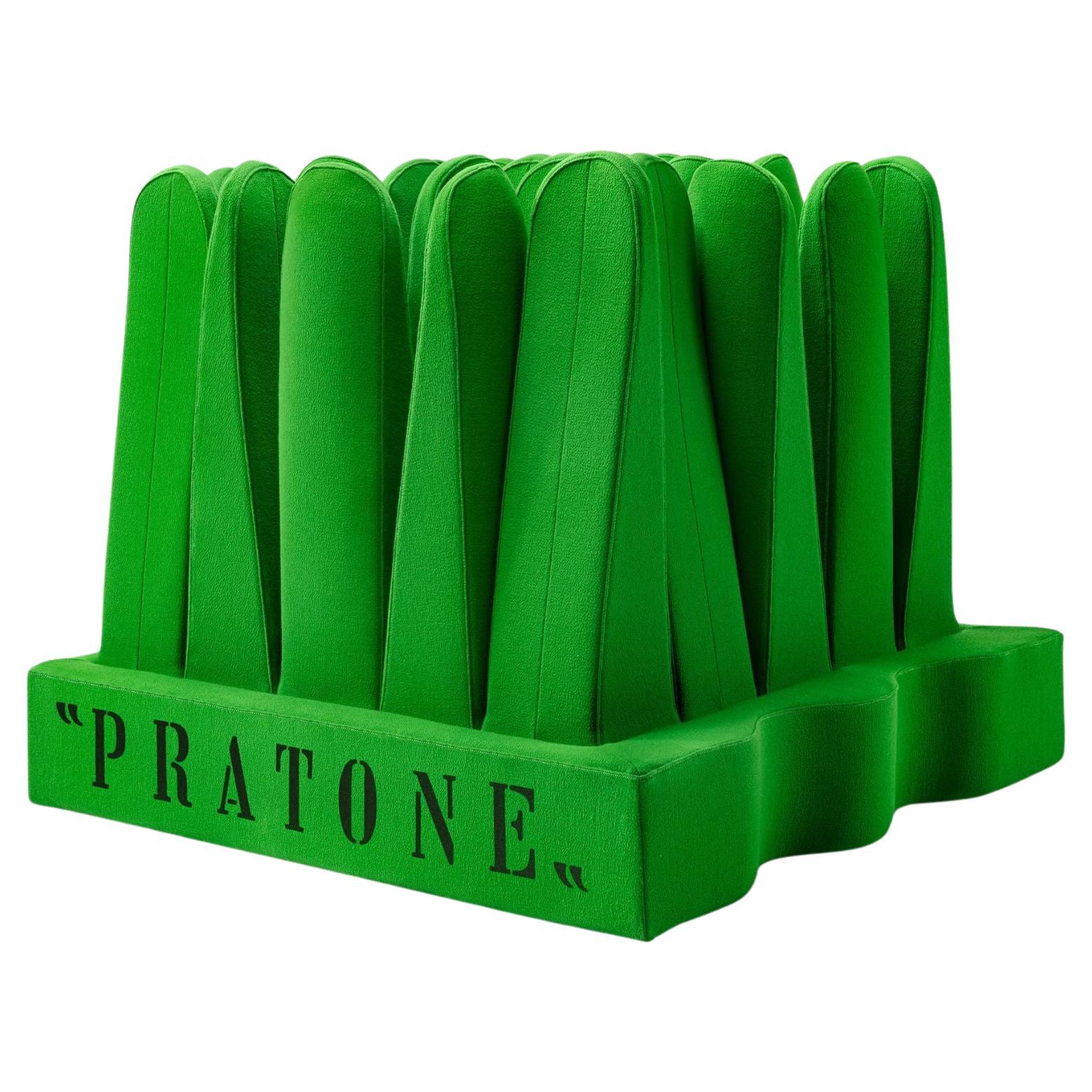 Gufram PRATONE Forever by Ceretti / Derossi / Rosso For Sale