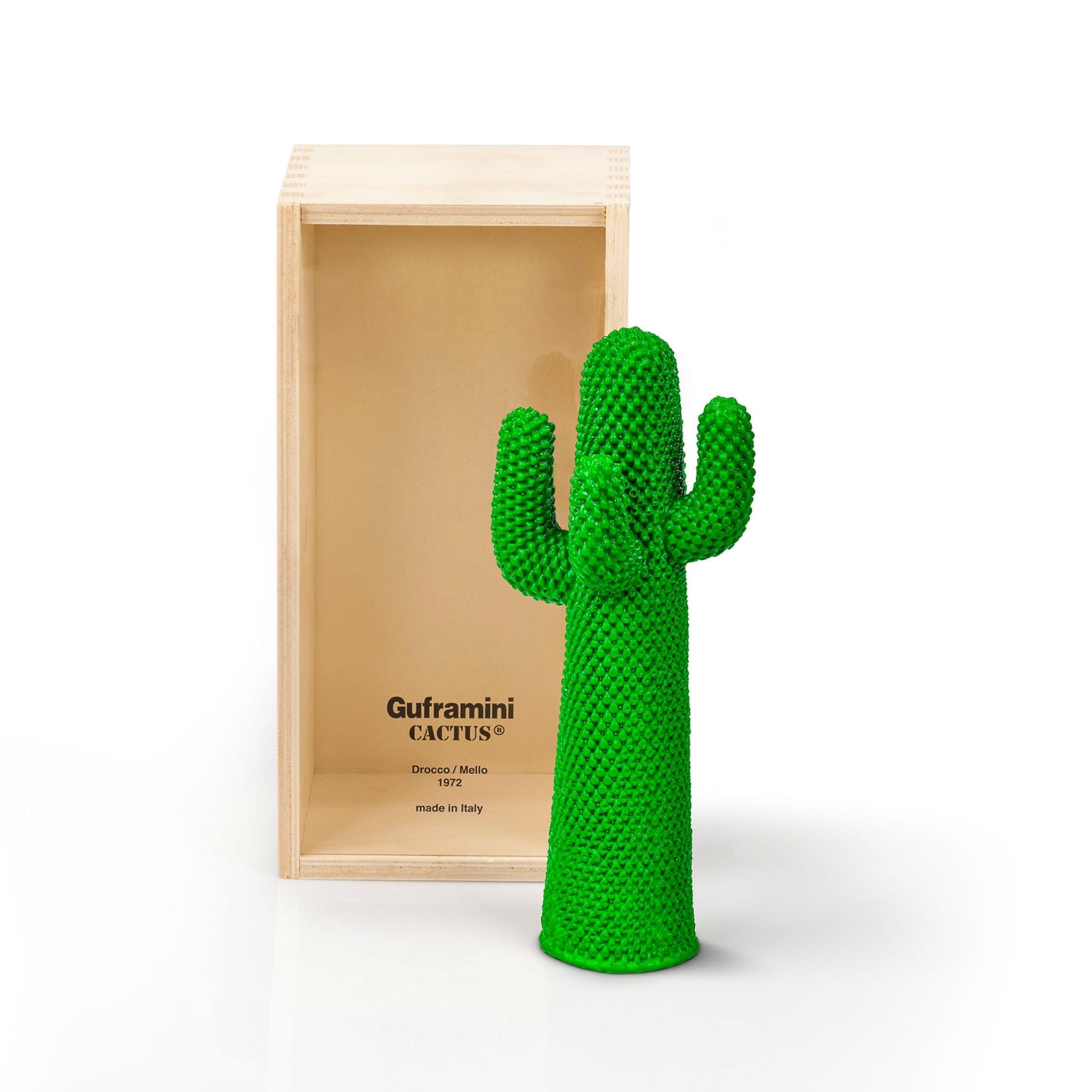 Guframini-Kaktus (Italienisch) im Angebot