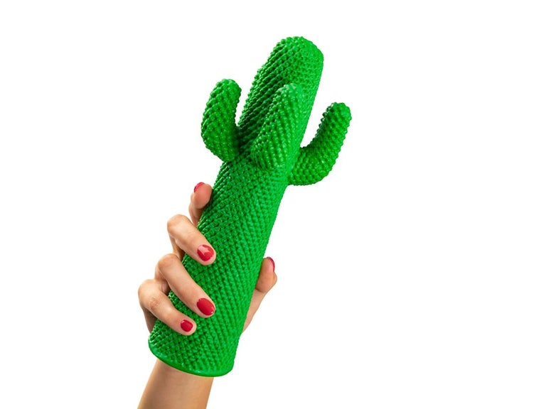 Modern GUFRAMINI Miniature Cactus by Drocco & Mello For Sale